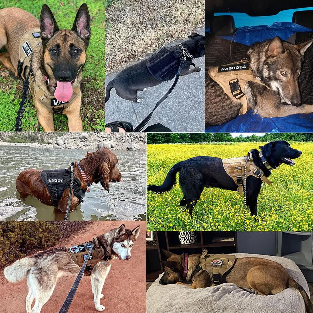 K9 Dog Tactical Harness And Leash - chloespetshop