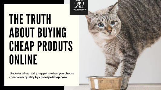 🐾 The Truth About Buying Cheap Pet Products Online