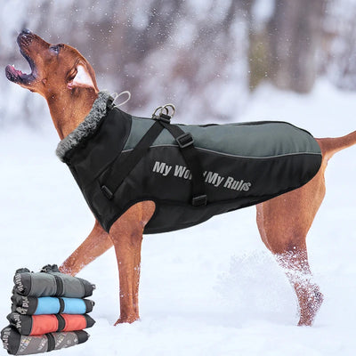 Large Dog Jacket With Removable Harness