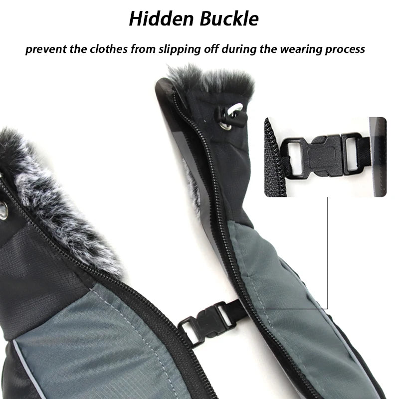 Large Dog Jacket With Removable Harness