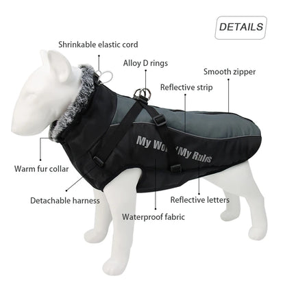 Large Dog Jacket With Removable Harness