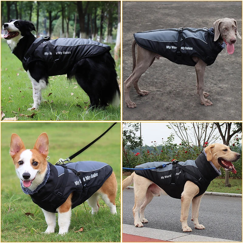 Large Dog Jacket With Removable Harness