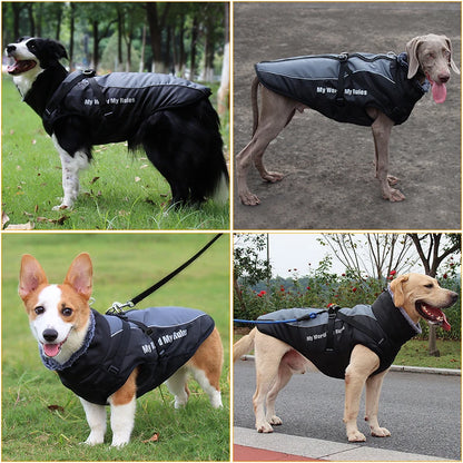 Large Dog Jacket With Removable Harness