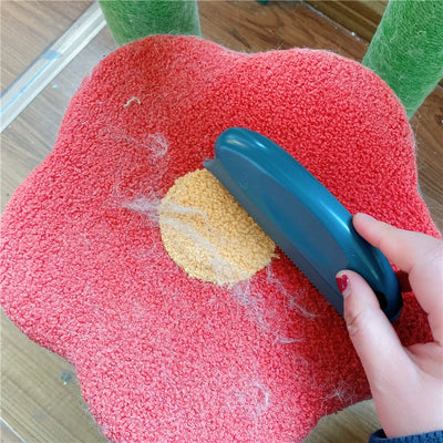 Pet Hair Removal Brush