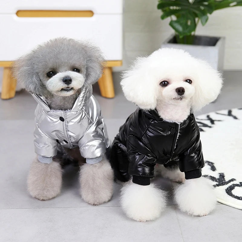 Dog Winter Overall Jacket