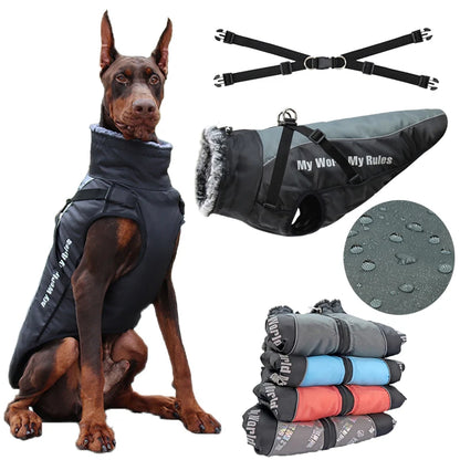 Large Dog Jacket With Removable Harness