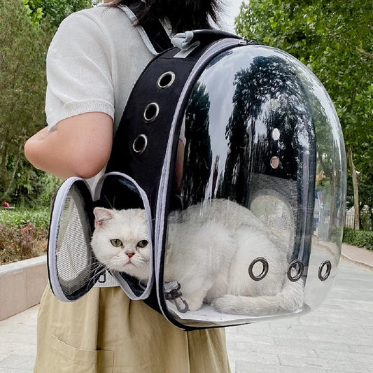 Sturdy Cat Backpack