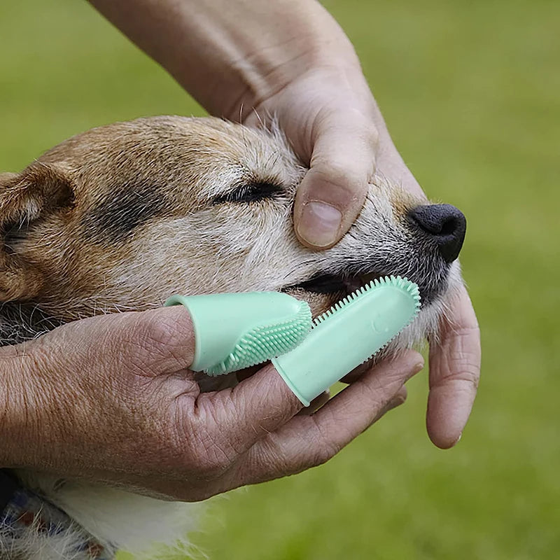 Pet Two Finger Toothbrush