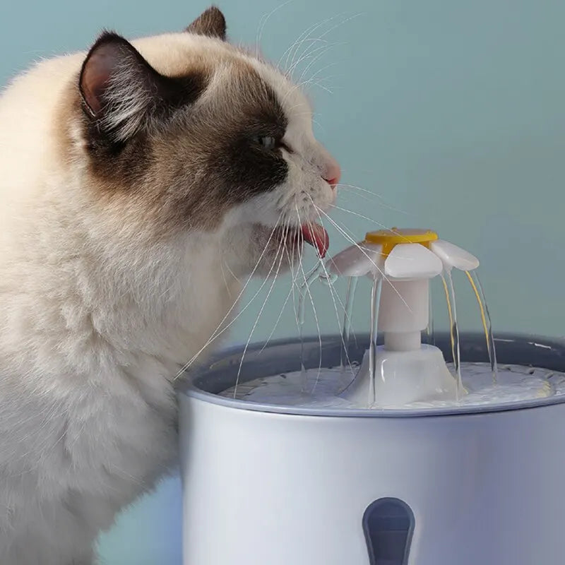 Automatic Water Fountain