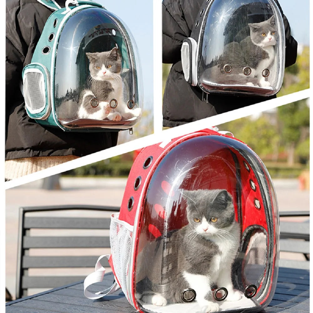 Sturdy Cat Backpack