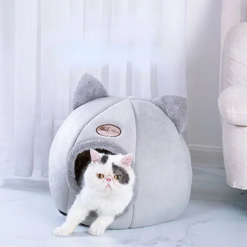 Cat Bed House With Pad