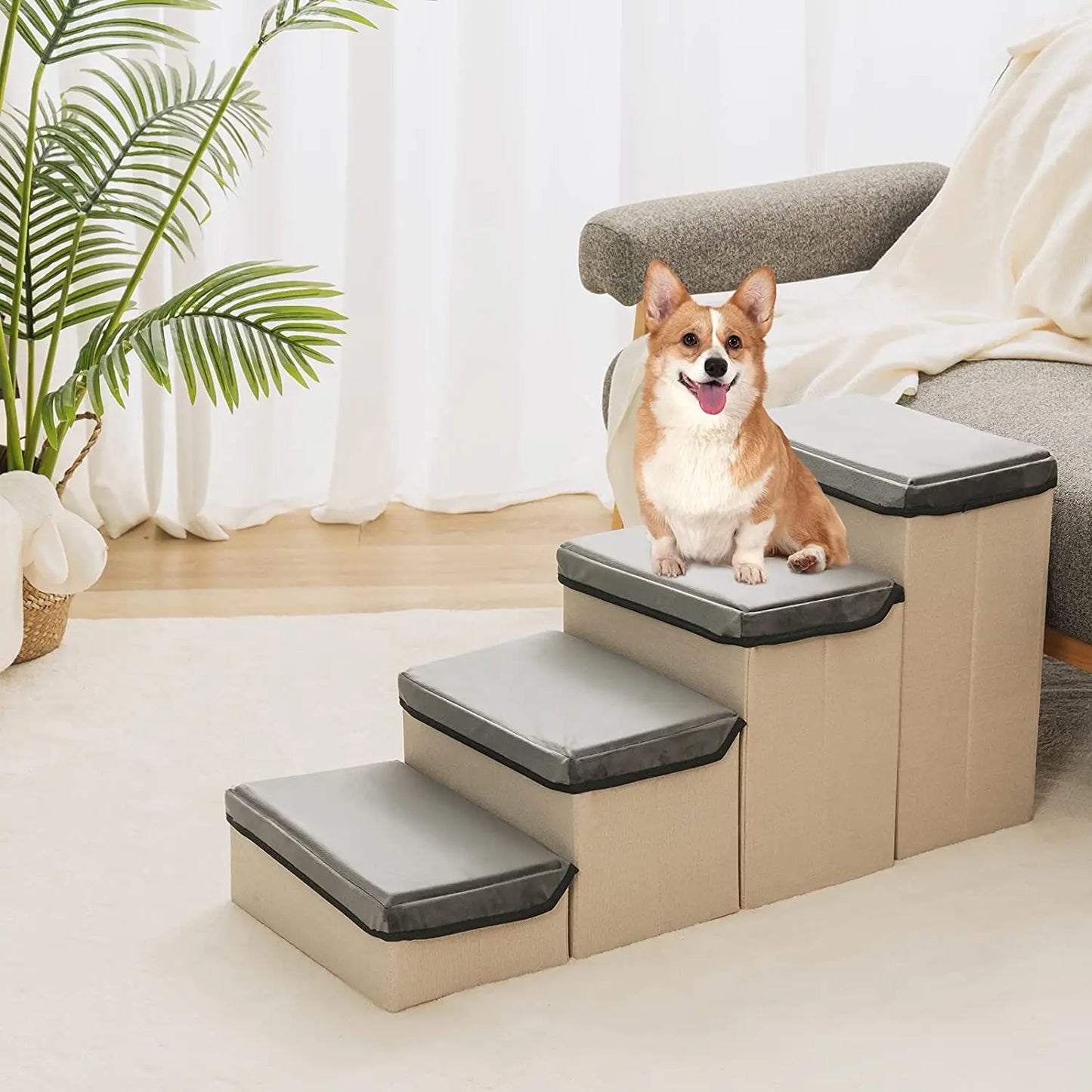 Dog Stairs With Storage