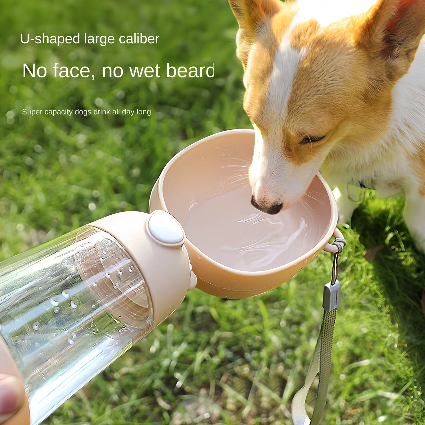 2 in 1 Portable Pet Water Bottle