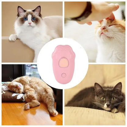 Pet Steam Brush