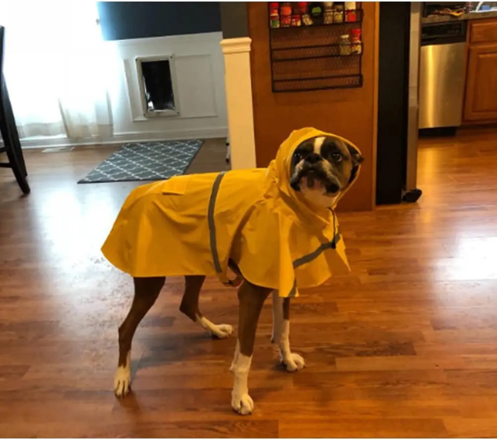 Dog Raincoat Adjustable