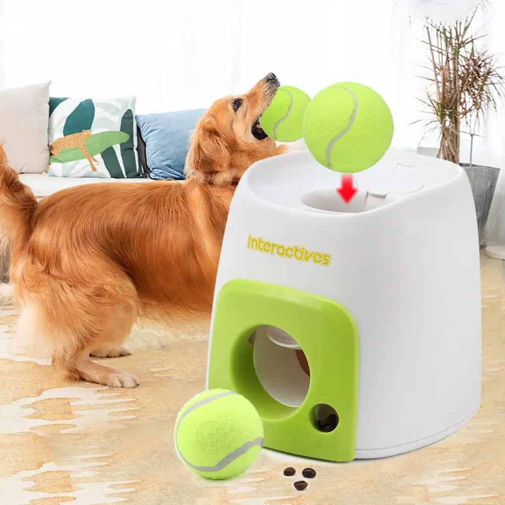 Automatic Throwing & Food Reward Machine