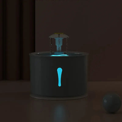 Automatic Water Fountain