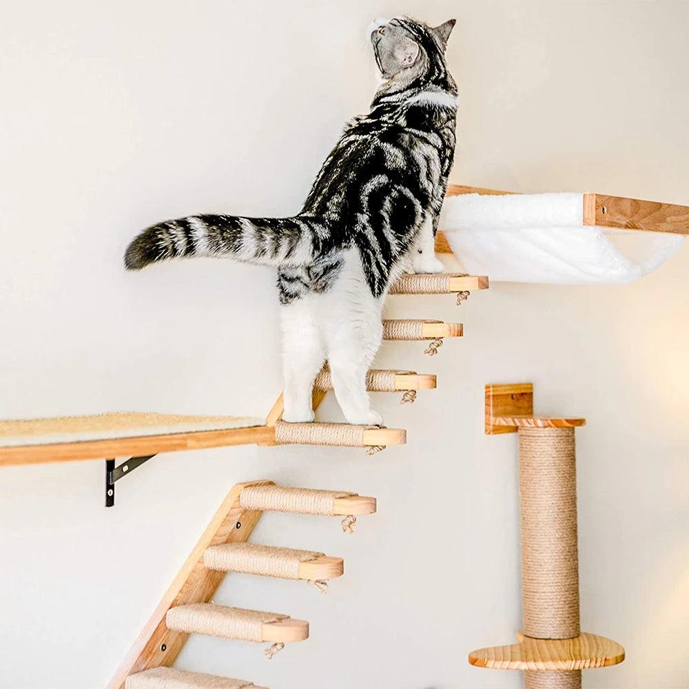 Cat Climbing Shelf Wall - chloespetshop