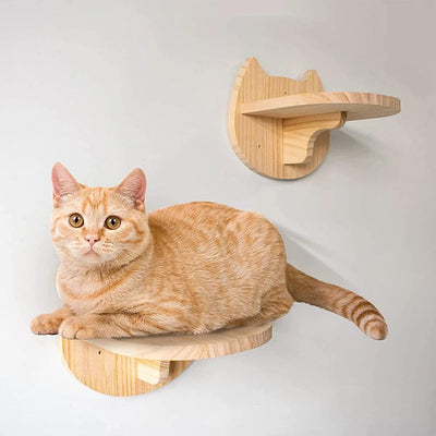 Cat Climbing Shelf Wall - chloespetshop