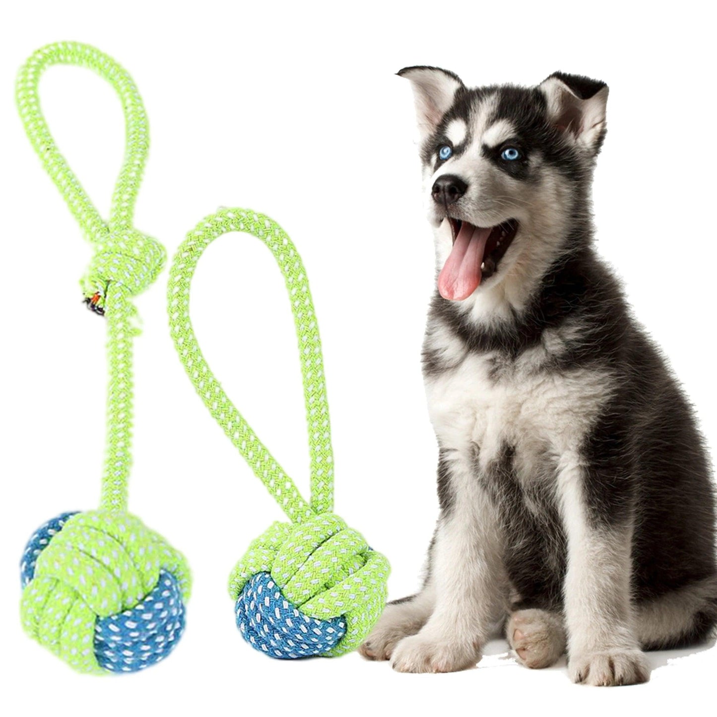 Dog Chew Toy, Bite-resistant - chloespetshop