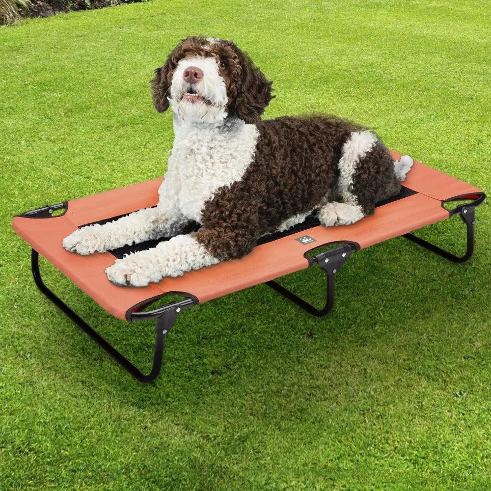 Dog Cot, Fold-able For pet up to 50 lbs - chloespetshop