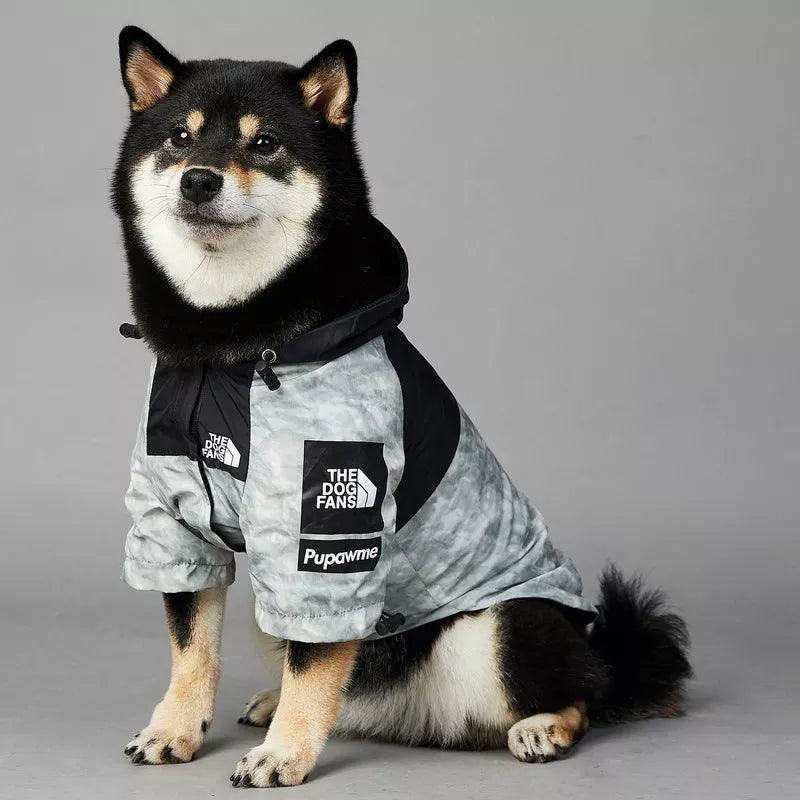 Dog Raincoat (Small - 5 XL) - chloespetshop