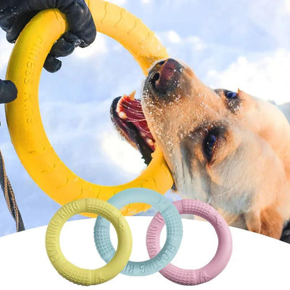 Flying Disk Chewing Toys - chloespetshop