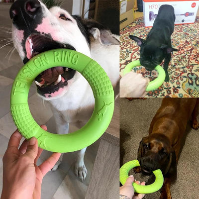 Flying Disk Chewing Toys - chloespetshop