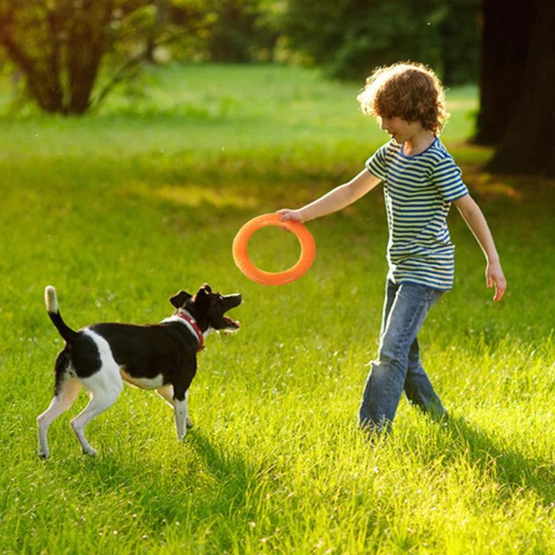 Flying Disk Chewing Toys - chloespetshop