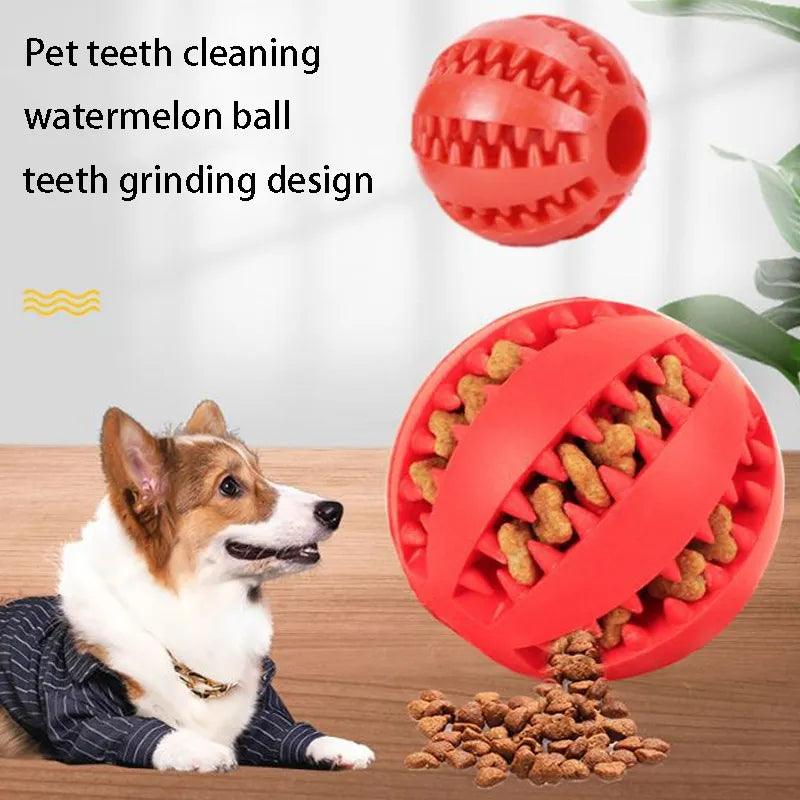 Natural Rubber Dog Chew Toy - chloespetshop