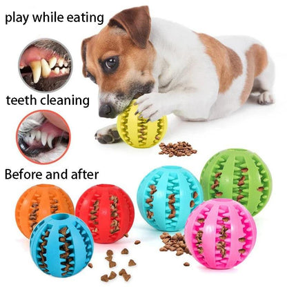 Natural Rubber Dog Chew Toy - chloespetshop