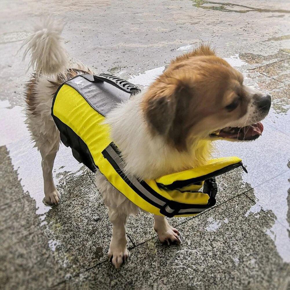 Pet Life Jacket - chloespetshop