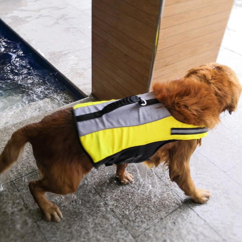 Pet Life Jacket - chloespetshop