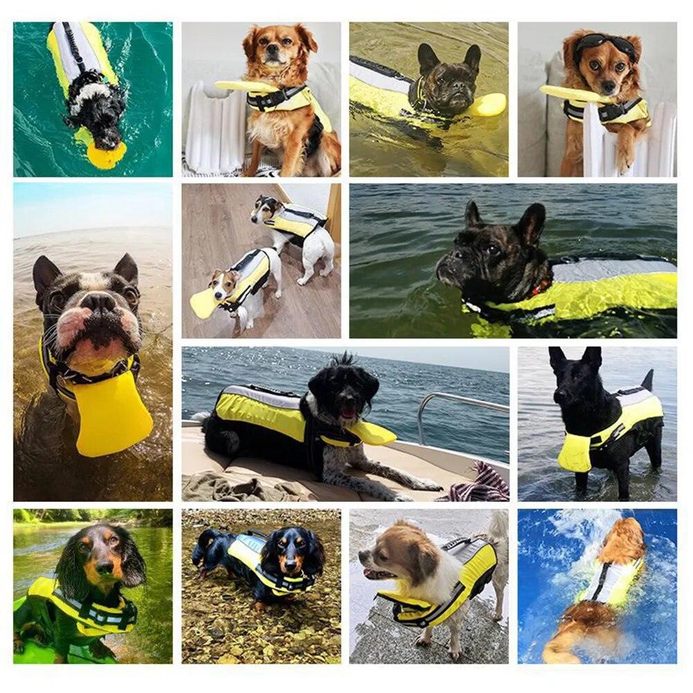 Pet Life Jacket - chloespetshop