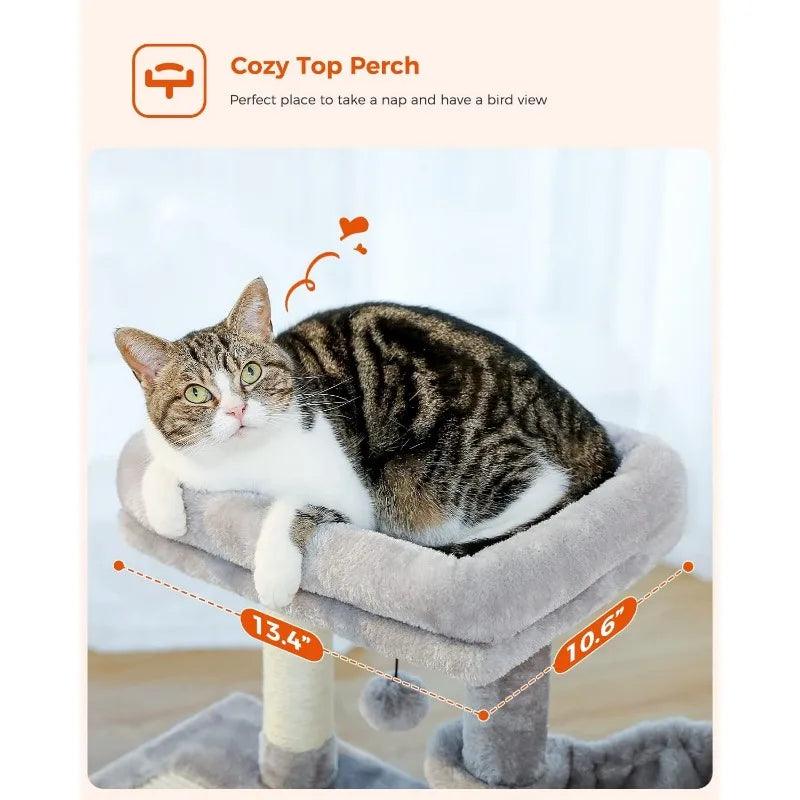 Small Cat Tree With Scratching Posts - chloespetshop