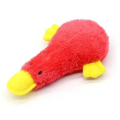 Squeaking Dog Toys - chloespetshop