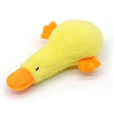 Squeaking Dog Toys - chloespetshop