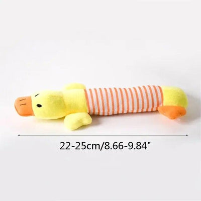 Squeaking Dog Toys - chloespetshop