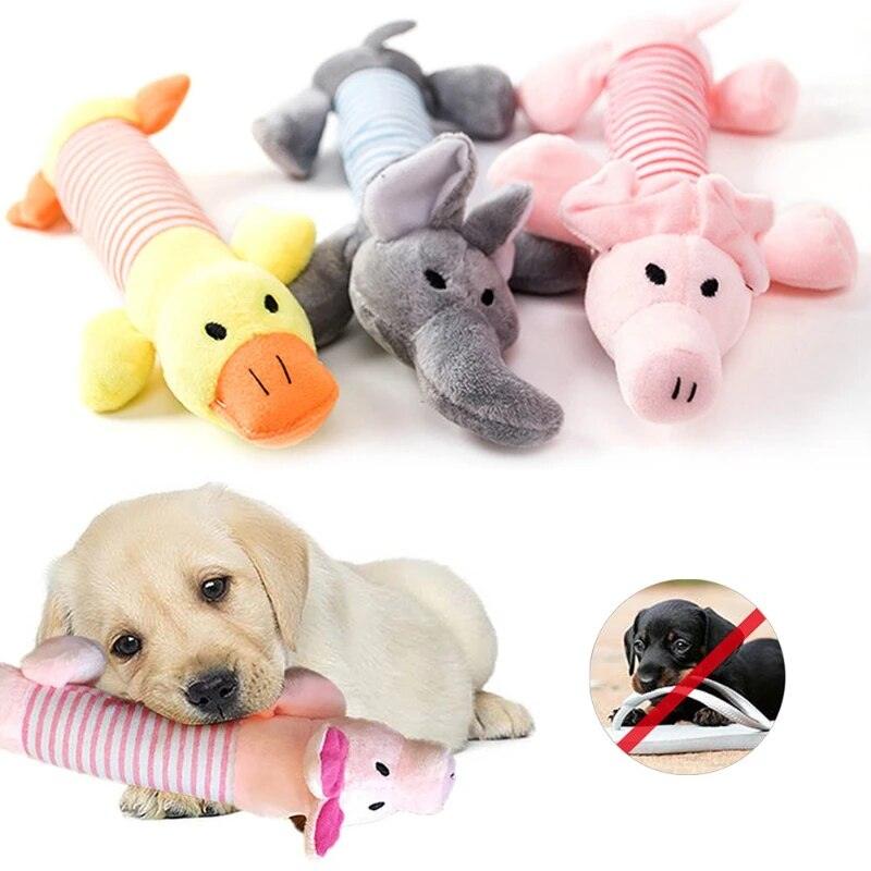 Squeaking Dog Toys - chloespetshop