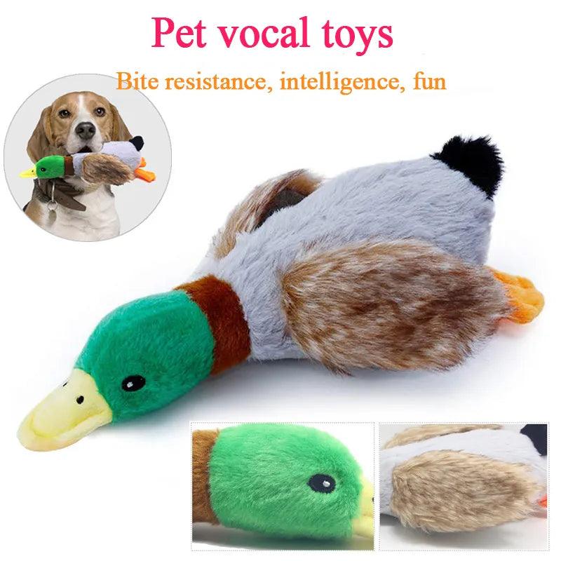 Squeaky Duck Shaped Chew Toy - chloespetshop