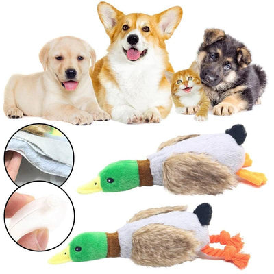 Squeaky Duck Shaped Chew Toy - chloespetshop