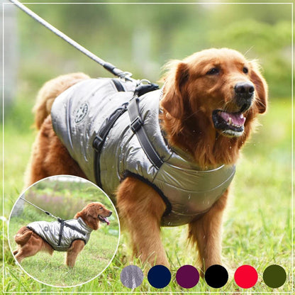 Winter Dog Jacket With Harness - chloespetshop