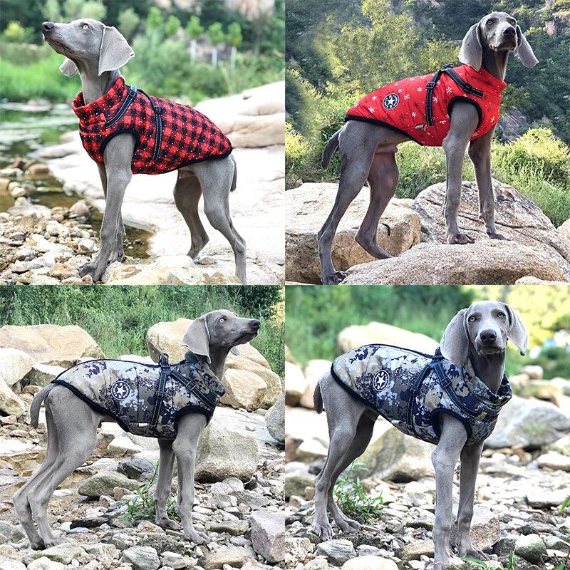 Winter Dog Jackets With Harness - chloespetshop